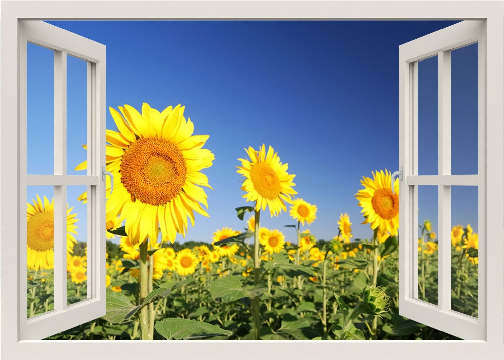 Sun Flowers Wall Decal, 3d Window Wall Decal, Sun Flowers Field View Wall Decal, Nature Window Frame, Window View Home Decal, Wall Mural