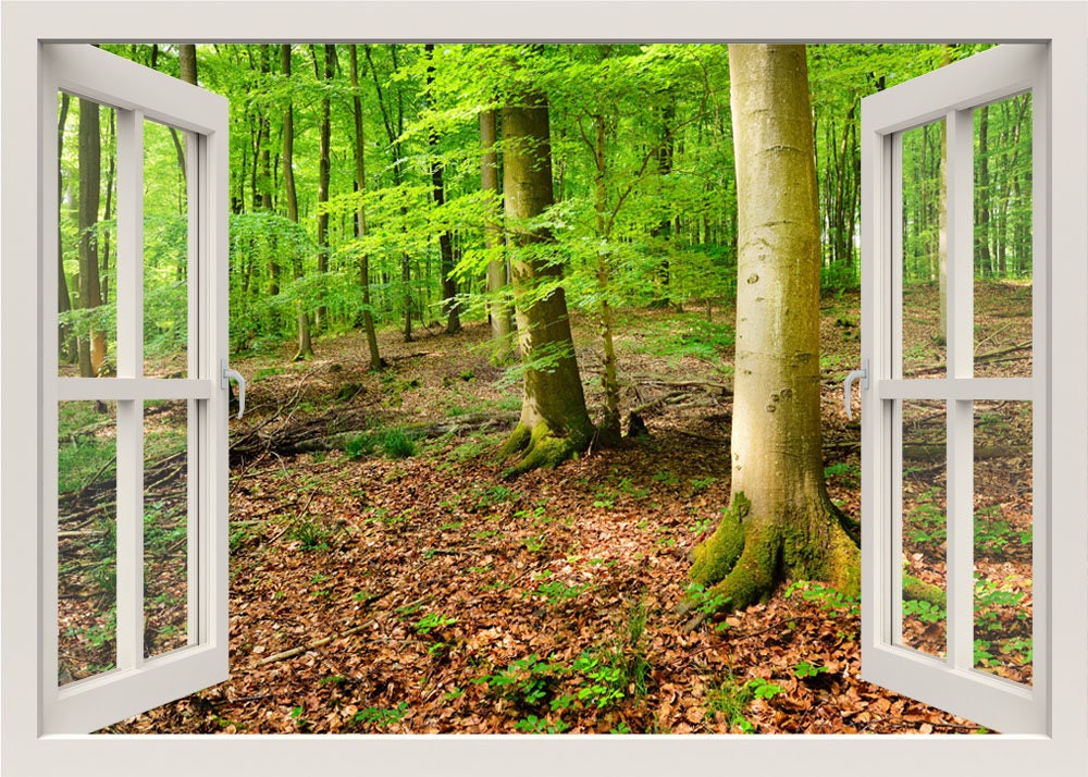 Autocollant mural forêt printanière, autocollant mural arbres, autocollant mural vue fenêtre 3D nature, peinture murale, effet fenêtre décoration murale pour la maison salon