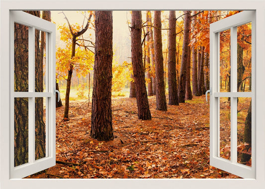 Forest Wall Decal, Autumn Trees 3d Window Wall Decal, Forest Autumn Wall Sticker,Window Frame, Window View Home Decal, Wall Mural