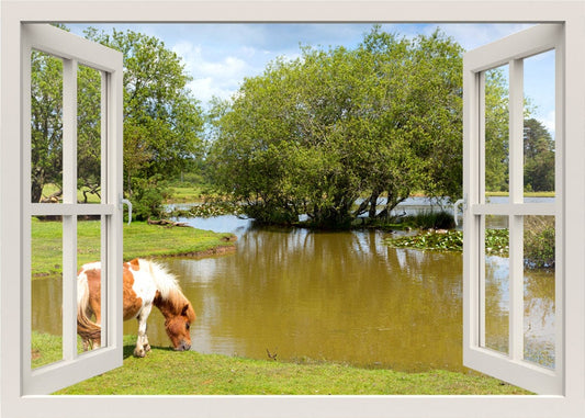 Horse Wall Decal, Horse Wall Sticker, Horse Drinking Water in Lake Wall Decal, Nature Wall Decal,  Animals Window Frame Wall Sticker