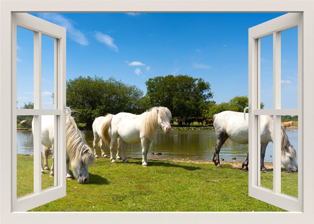 Autocollant mural chevaux, autocollant mural chevaux, autocollant mural cadre de fenêtre avec vue sur le lac chevaux près, autocollant mural vue sur la fenêtre, décoration murale murale