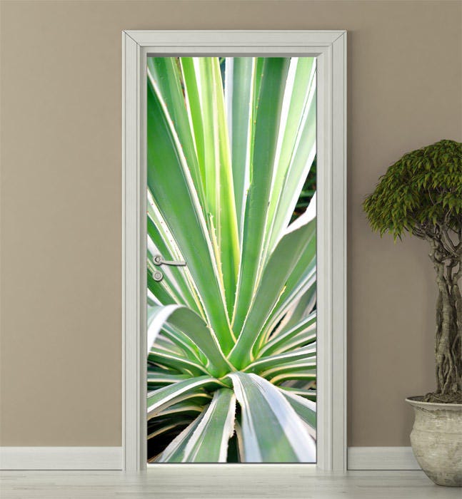 Aloe Vera Wall Decal, Aloe Vera Wall Sticker, Cactus Wall Decal, Nature Door Decor, Nature Wall Decor, Cactus Door Mural, Door Cover Wrap