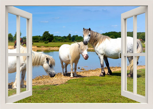 Horses Wall Decal, 3d Window Wall Decal, Window Frame Wall Decal, Window View Wall Mural, Animals Wall Decal, Living Room Home Wall Decor