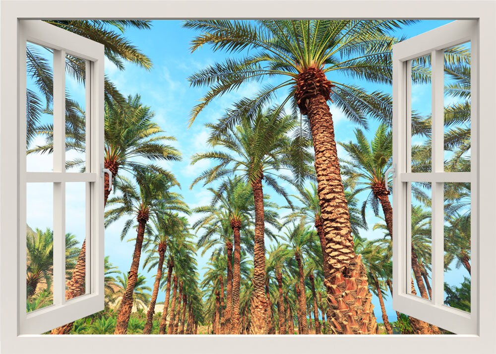 Tropical Beach Wall Decal, Palm Trees Wall Decal, 3d Window Wall Decal, Beach Wall Sticker, Window Frame, Window View Mural Home Decor