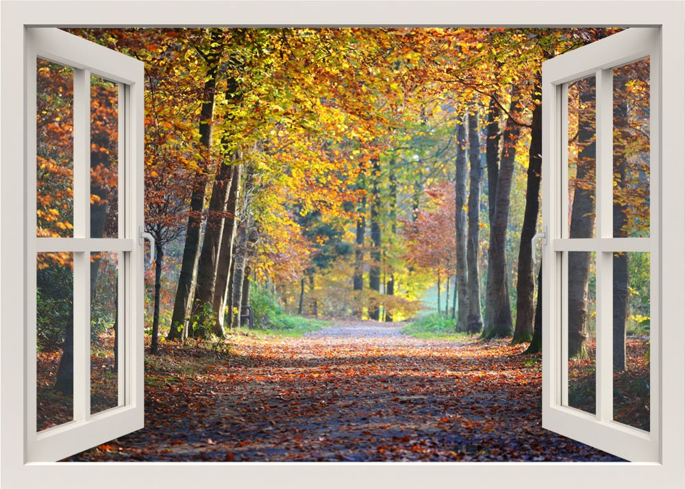 Autocollant mural 3D pour fenêtre avec arbres d'automne, autocollant mural pour forêt, peinture murale d'automne, autocollant mural pour arbres, autocollant mural pour cadre de fenêtre, autocollant pour la maison avec vue sur la fenêtre