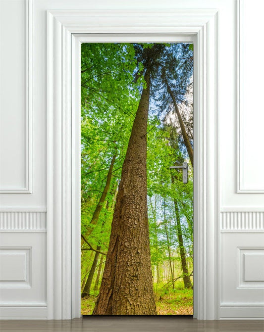 Autocollant mural arbre, autocollant mural arbre, décoration de porte nature, peinture murale de porte nature forêt, couverture de porte, habillage de porte, décoration de maison de chambre à coucher de salon