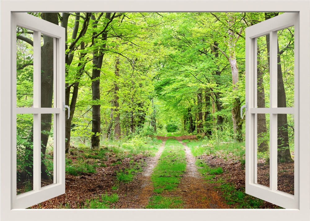 Autocollant mural Woods, peinture murale Forest, autocollant mural Forest, autocollant mural Pathway Nature, autocollant 3D Window View, décoration murale du salon de la maison