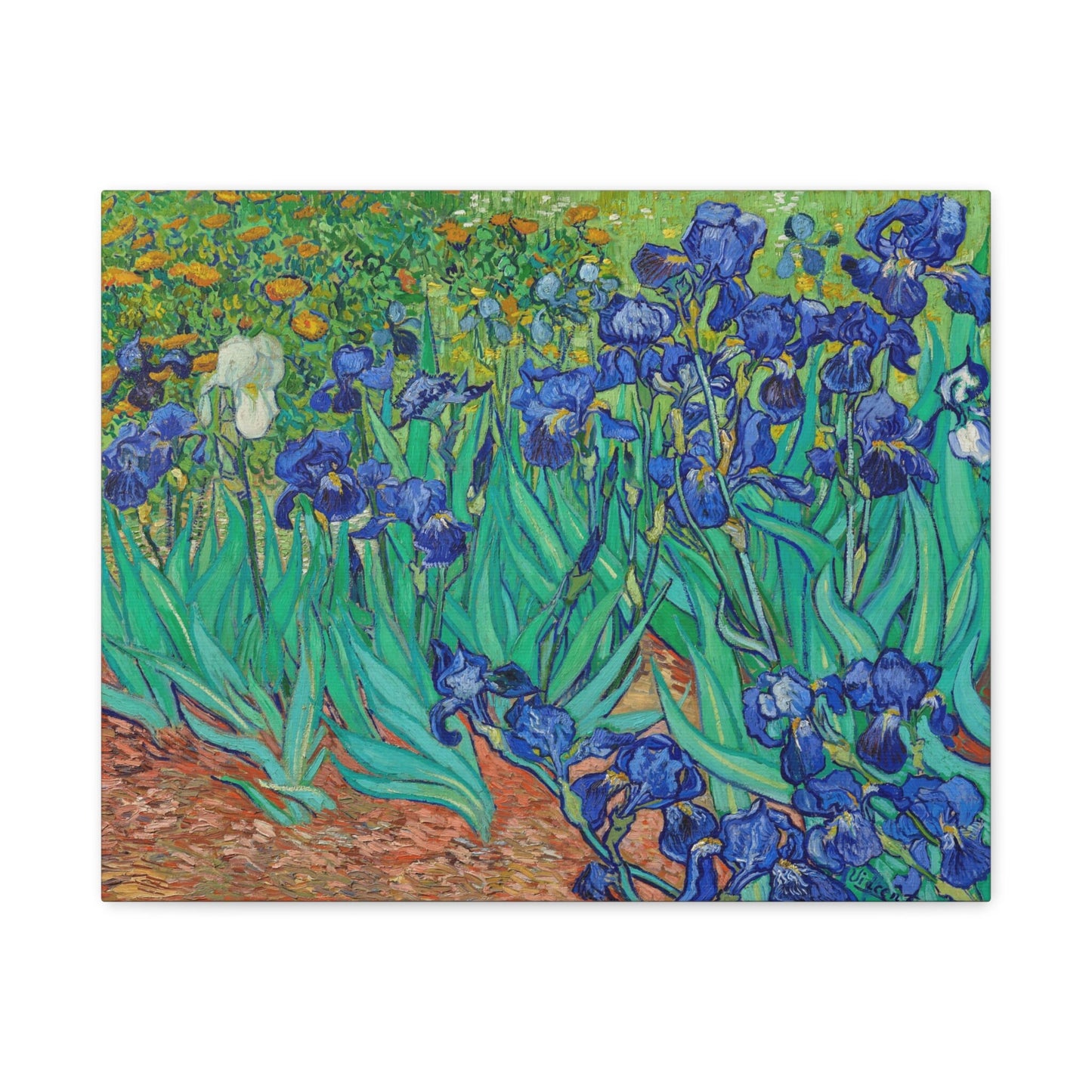 Vincent Van Gogh Irises Stretched Canvas Wall Art Reproduction, Van Gogh Post Impressionism Art Canvas Print, Modern Art Canvas Painting