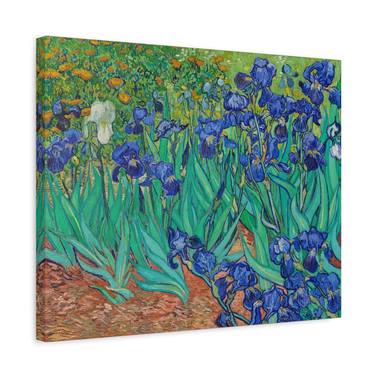 Vincent Van Gogh Irises Stretched Canvas Wall Art Reproduction, Van Gogh Post Impressionism Art Canvas Print, Modern Art Canvas Painting