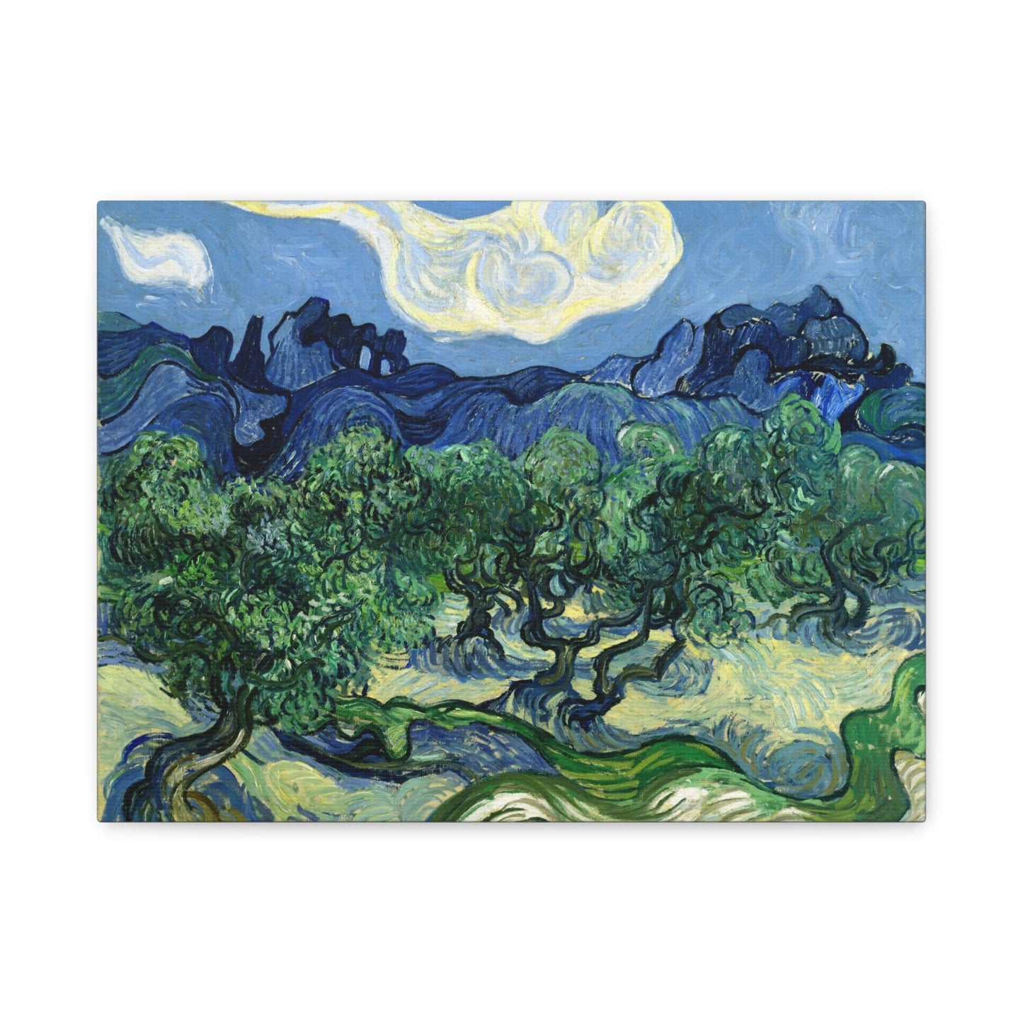 Vincent Van Gogh Olive Trees with the Alpilles Stretched Canvas Wall Art, Van Gogh Reproduction Canvas Print for Home Decor, Impressionism