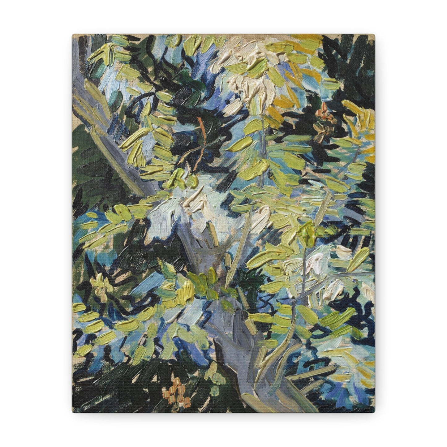 Vincent Van Gogh Blossoming Acacia Branches Stretched Canvas Wall Art, Van Gogh Reproduction Print, Van Gogh Painting Ready to Hang Wall Art