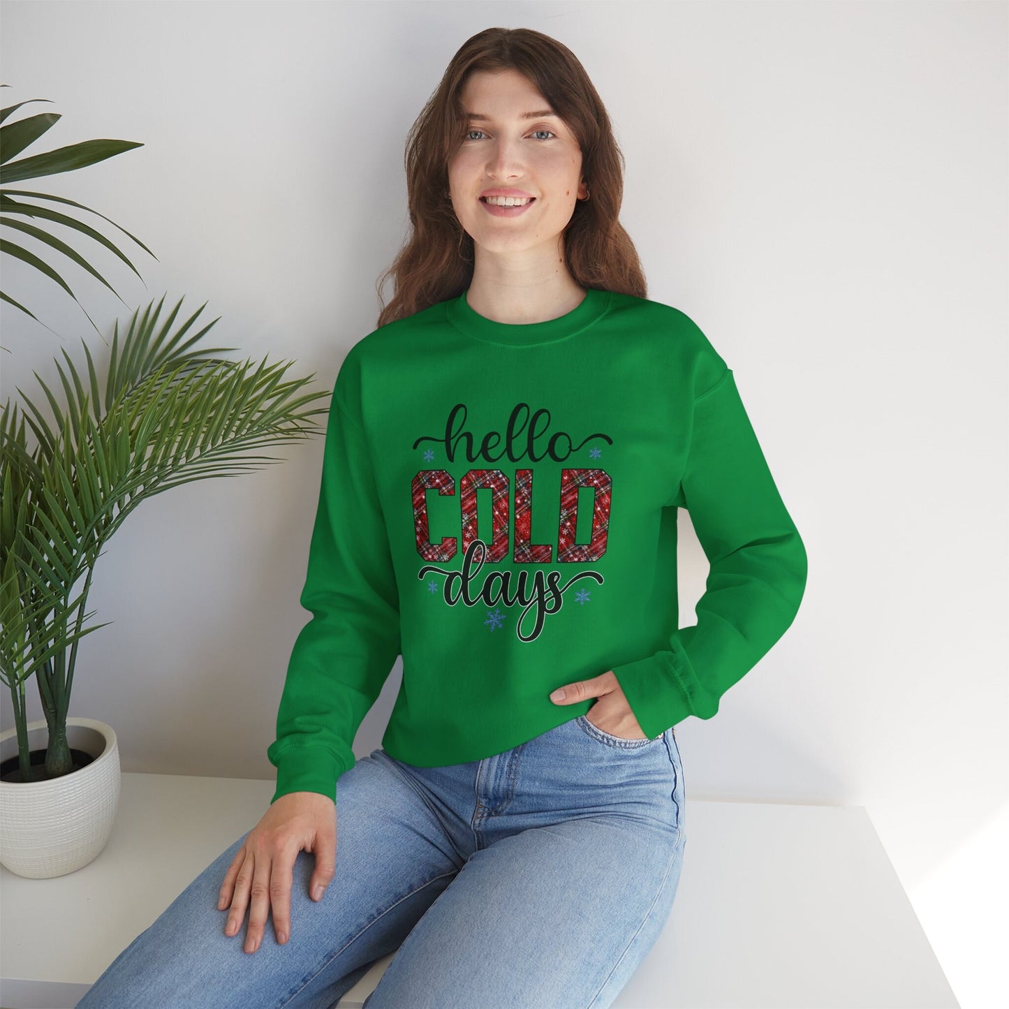 Hello Cold Days Winter Sweatshirt, Christmas Gift Shirt, Winter Holidays Xmas Unisex Gift Sweatshirt, Winter Season Gift Sweatshirt